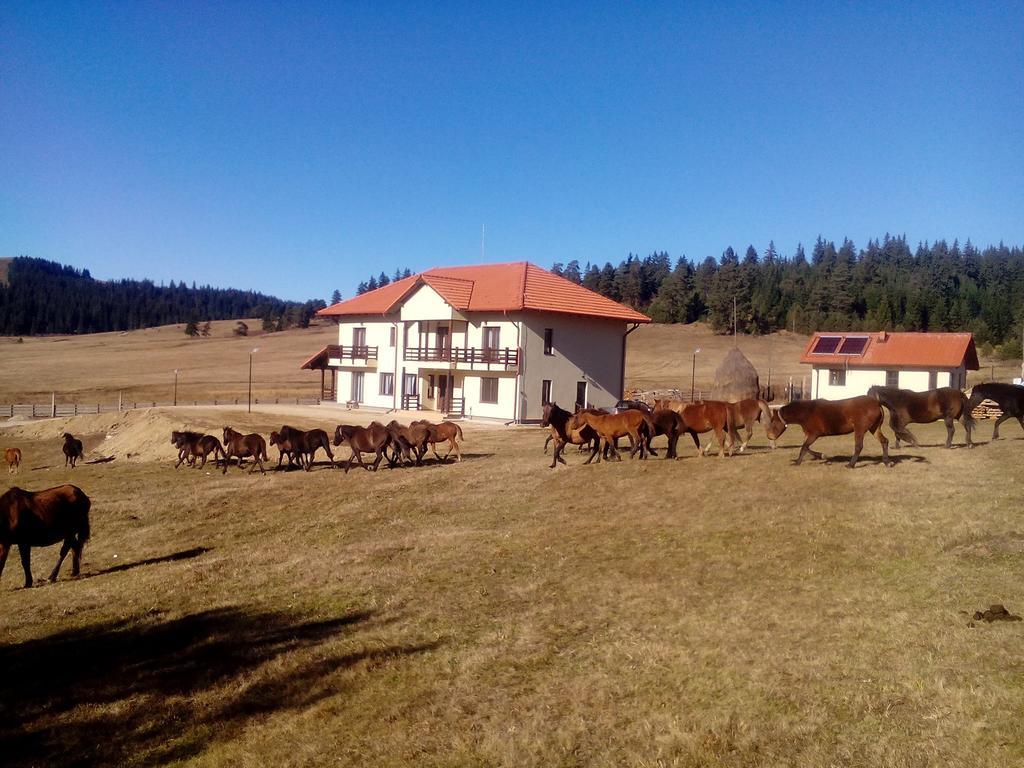 Pensiunea Catalina Moldova Sulita Екстер'єр фото